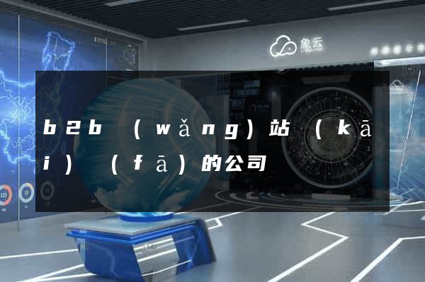b2b網(wǎng)站開(kāi)發(fā)的公司