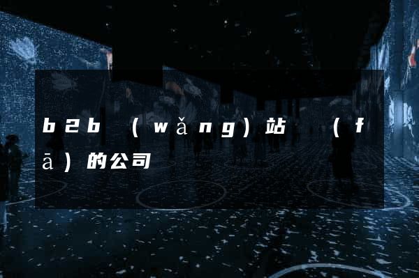 b2b網(wǎng)站開發(fā)的公司