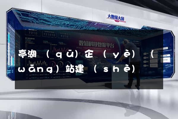 亭湖區(qū)企業(yè)網(wǎng)站建設(shè)