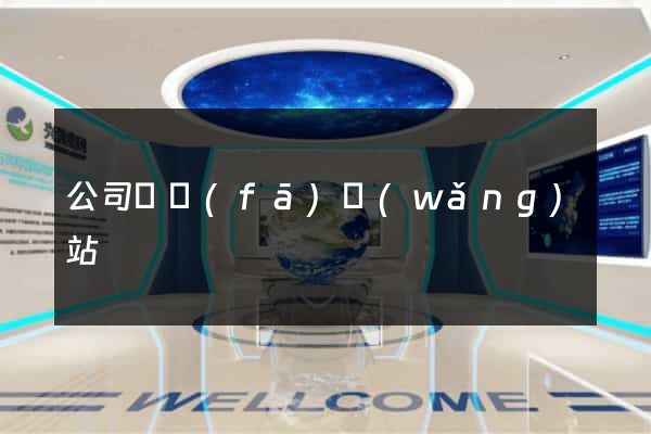 公司開發(fā)網(wǎng)站