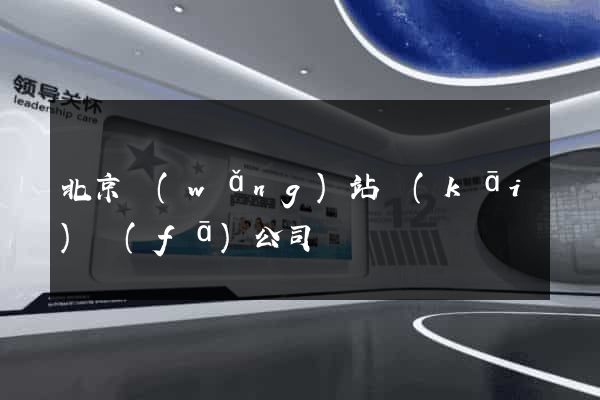 北京網(wǎng)站開(kāi)發(fā)公司