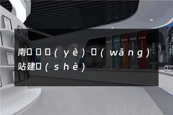 南寧專業(yè)網(wǎng)站建設(shè)