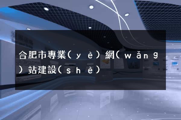 合肥市專業(yè)網(wǎng)站建設(shè)