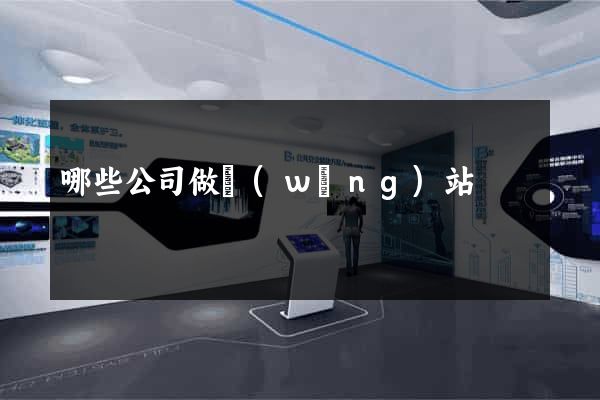 哪些公司做網(wǎng)站