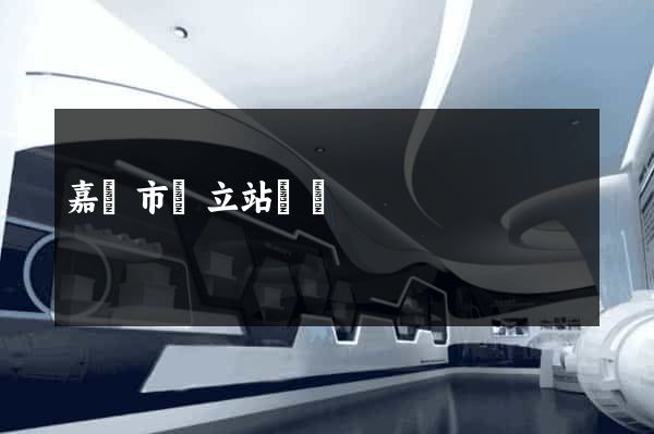 嘉興市獨立站運營