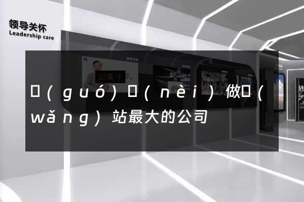 國(guó)內(nèi)做網(wǎng)站最大的公司