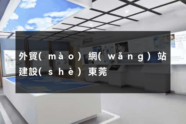 外貿(mào)網(wǎng)站建設(shè)東莞