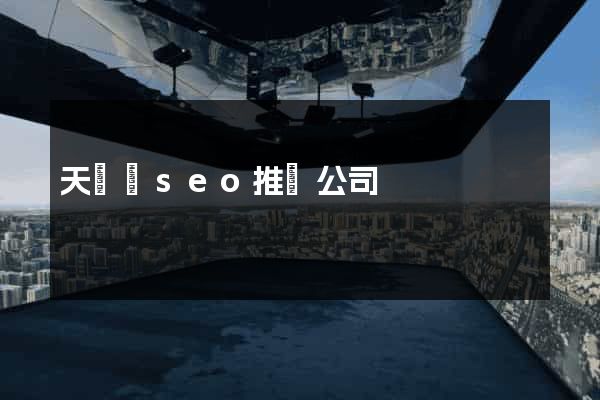 天臺縣seo推廣公司