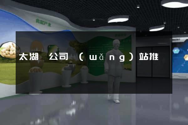 太湖縣公司網(wǎng)站推廣