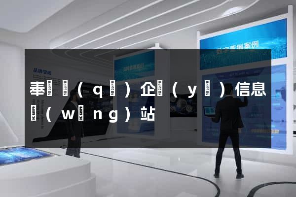 奉賢區(qū)企業(yè)信息網(wǎng)站