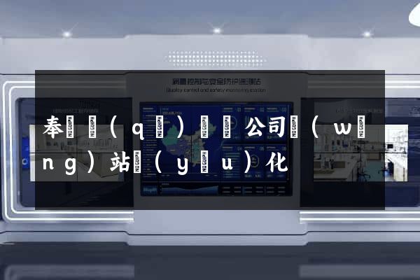 奉賢區(qū)設計公司網(wǎng)站優(yōu)化