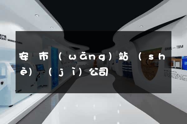 安慶市網(wǎng)站設(shè)計(jì)公司