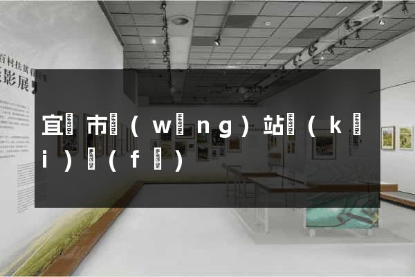 宜興市網(wǎng)站開(kāi)發(fā)