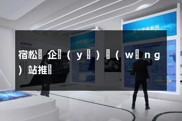 宿松縣企業(yè)網(wǎng)站推廣