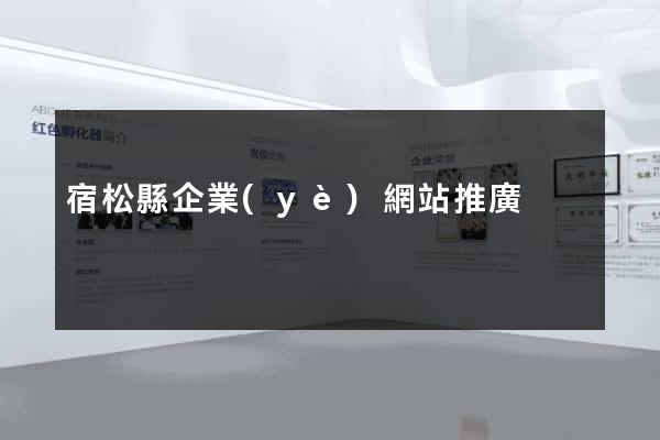 宿松縣企業(yè)網站推廣