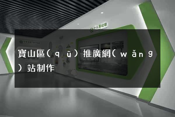 寶山區(qū)推廣網(wǎng)站制作