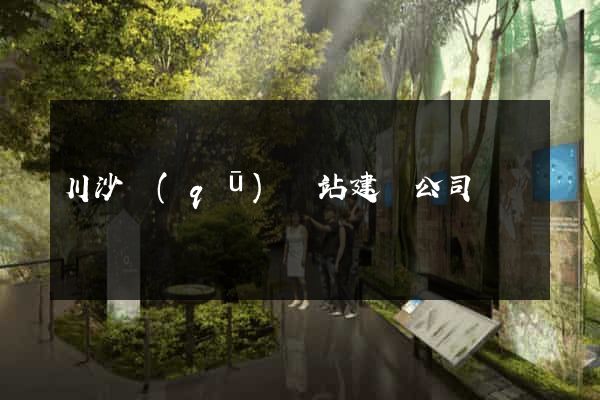 川沙區(qū)網站建設公司