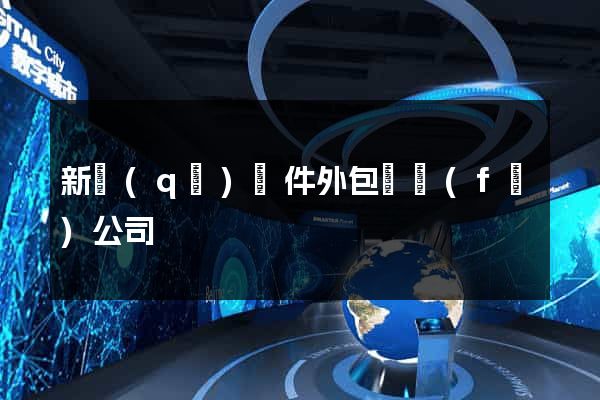 新區(qū)軟件外包開發(fā)公司