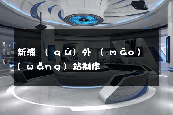 新浦區(qū)外貿(mào)網(wǎng)站制作