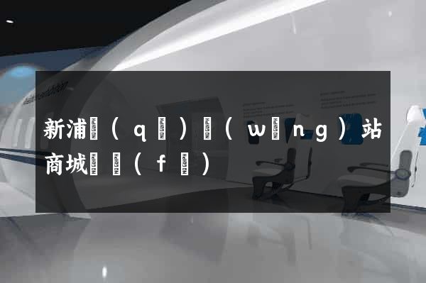 新浦區(qū)網(wǎng)站商城開發(fā)