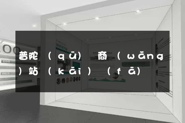 普陀區(qū)電商網(wǎng)站開(kāi)發(fā)