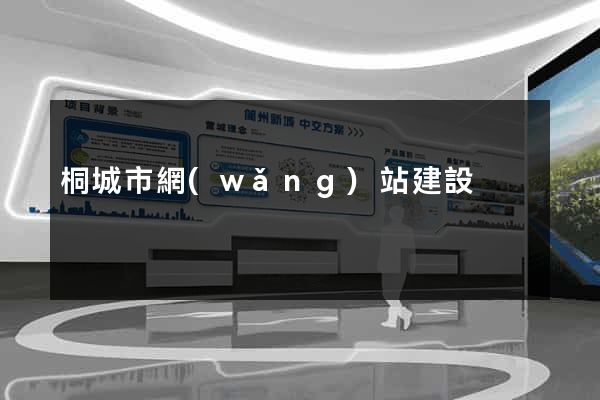 桐城市網(wǎng)站建設