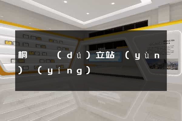 桐廬縣獨(dú)立站運(yùn)營(yíng)