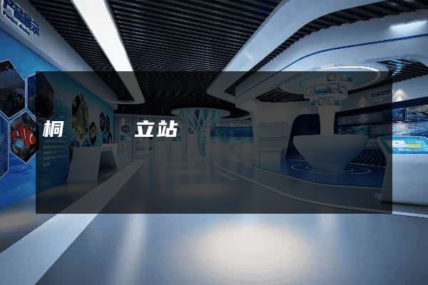 桐廬縣獨立站運營