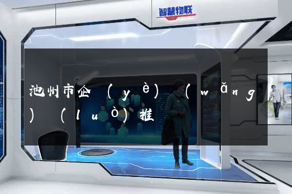 池州市企業(yè)網(wǎng)絡(luò)推廣