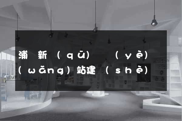 浦東新區(qū)專業(yè)網(wǎng)站建設(shè)