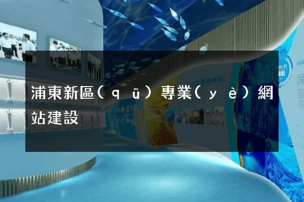 浦東新區(qū)專業(yè)網站建設