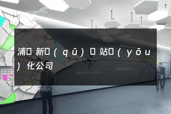 浦東新區(qū)網站優(yōu)化公司