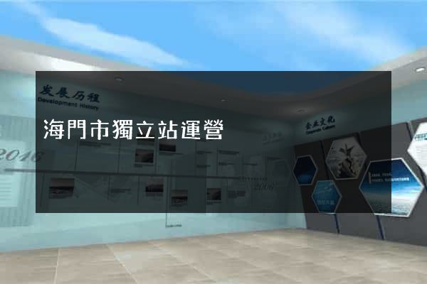 海門市獨立站運營