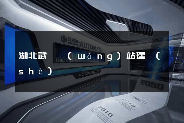 湖北武漢網(wǎng)站建設(shè)