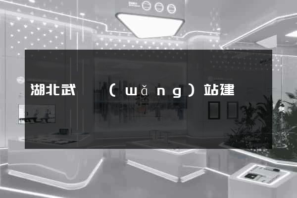 湖北武漢網(wǎng)站建設