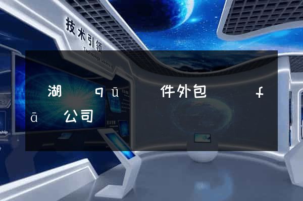 濱湖區(qū)軟件外包開發(fā)公司