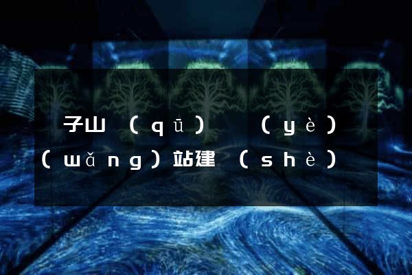 獅子山區(qū)專業(yè)網(wǎng)站建設(shè)