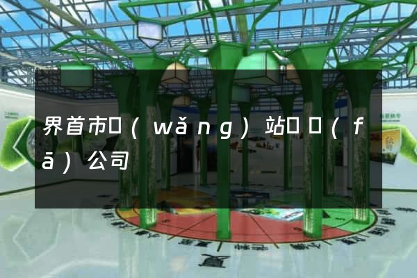 界首市網(wǎng)站開發(fā)公司