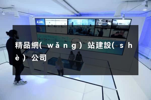 精品網(wǎng)站建設(shè)公司