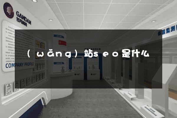 網(wǎng)站seo是什么