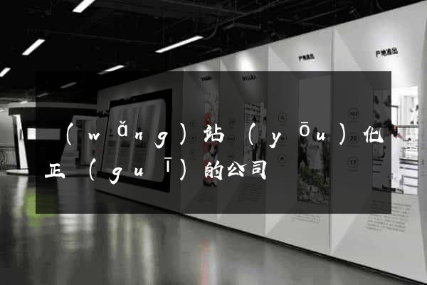 網(wǎng)站優(yōu)化正規(guī)的公司