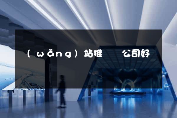 網(wǎng)站推廣個公司好