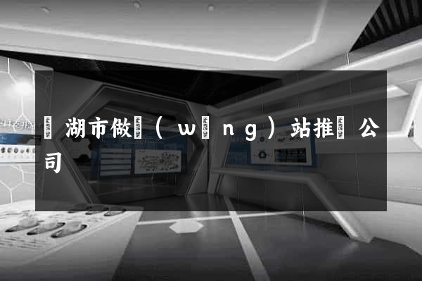 蕪湖市做網(wǎng)站推廣公司