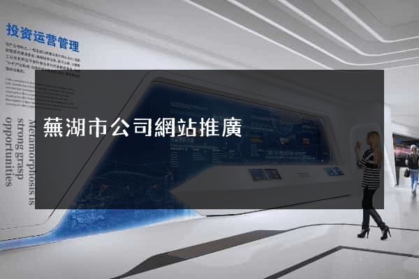 蕪湖市公司網站推廣