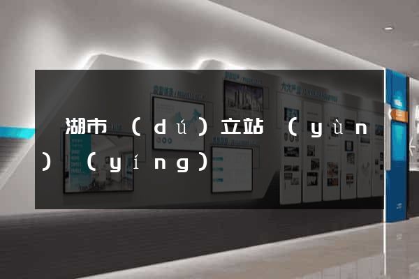 蕪湖市獨(dú)立站運(yùn)營(yíng)