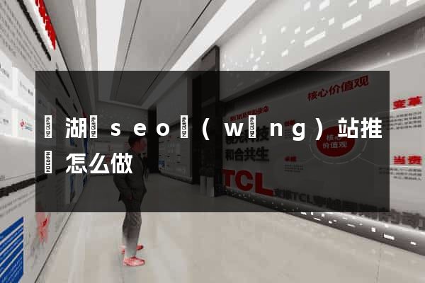 蕪湖縣seo網(wǎng)站推廣怎么做