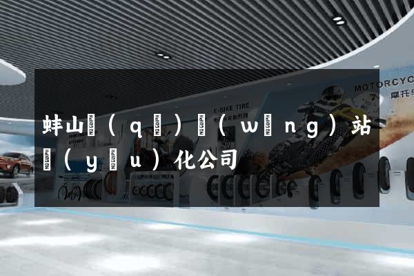蚌山區(qū)網(wǎng)站優(yōu)化公司