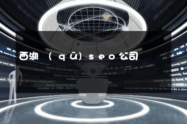 西湖區(qū)seo公司