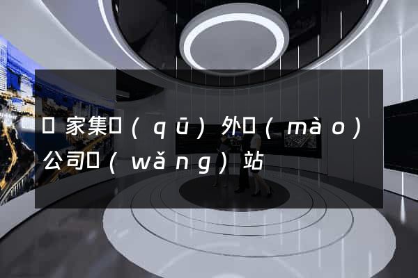 謝家集區(qū)外貿(mào)公司網(wǎng)站