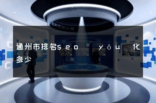 通州市排名seo優(yōu)化多少錢